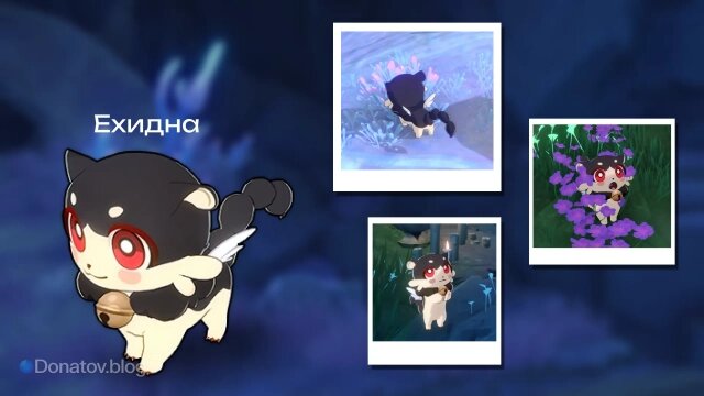    Питомец Ехидна в ХСР