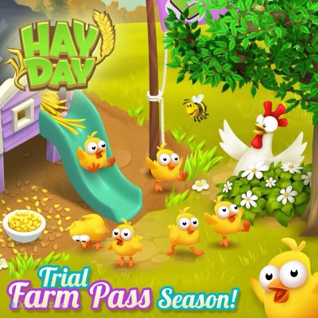    Цыплята в Hay Day