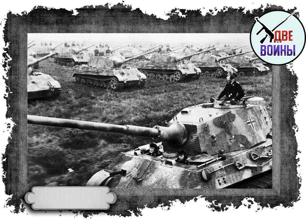 "Королевские Тигры". Фото в свободном доступе.