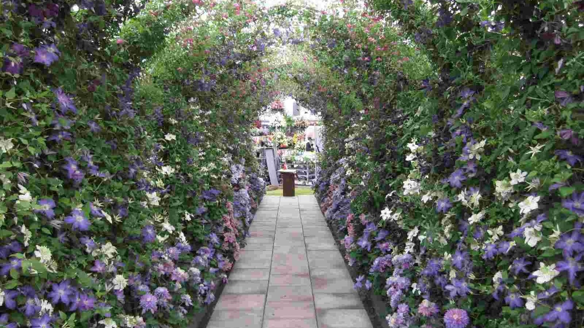 Ряд простых, но высоких арок с клемантисами, которые расположены над простой дорожкой из плитки. Взгляд ведет нас к "зеленой комнате" в саду, за которой расположен дом