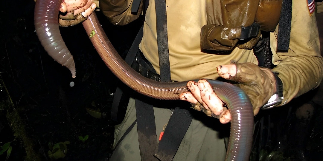 Это ж какая должна быть рыбалка?