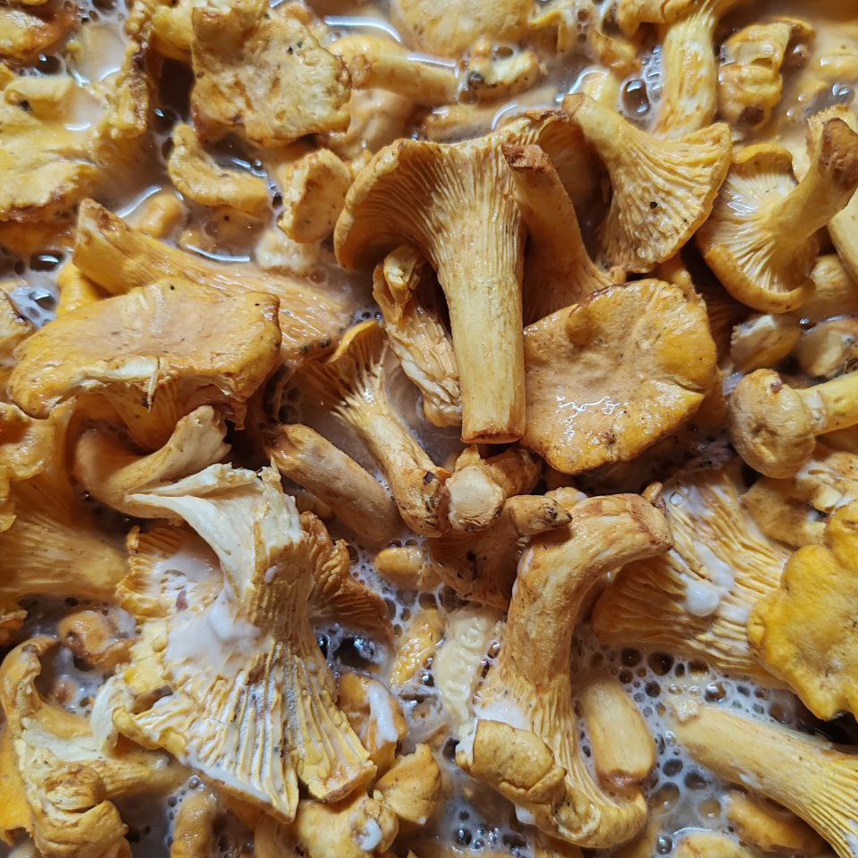 Заливаем водой любой