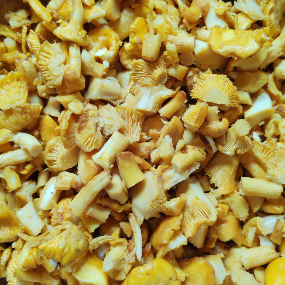 Нарезанные лисички