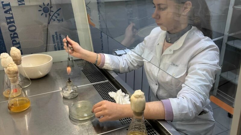     Химик Дарья Сороченко. Наука Предоставлено Altapress.ru. Источник: личный архив Дарьи Сороченко