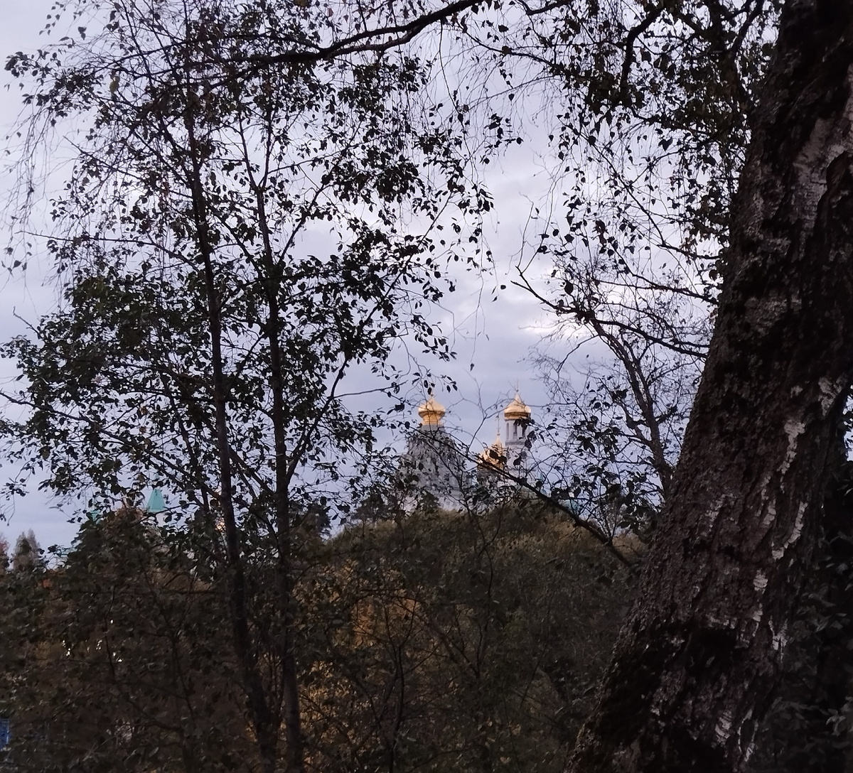 Воскресенский Новоиерусалимский монастырь — ставропигиальный мужской монастырь РПЦ в городе Истре Московской области. ЗДЕСЬ и далее фото автора и(или) из личного архива автора, если не указано иначе. Фото сделаны 28 сентября 2025 года во время поездки в монастырь.