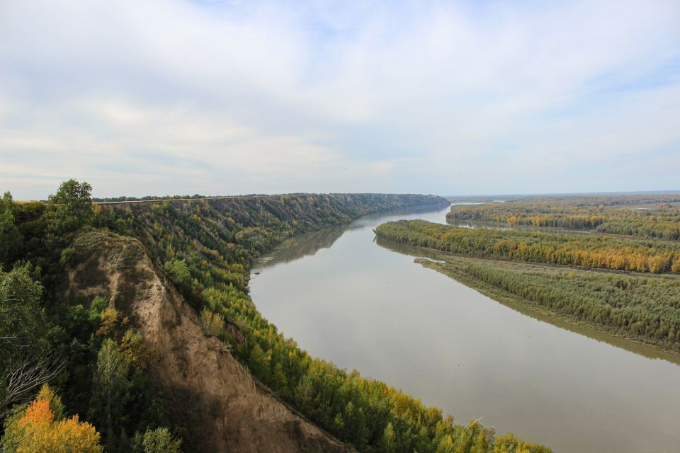    Захватывающие виды с высокого берега Оби, признанного природным памятником. Источник: Евгения Кочеткова/"Толк"