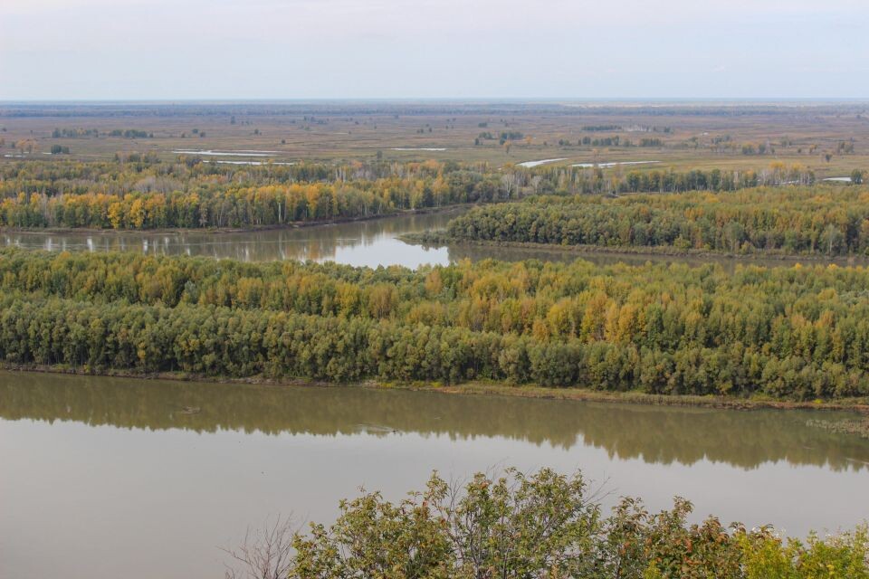    Захватывающие виды с высокого берега Оби, признанного природным памятником. Источник: Евгения Кочеткова/"Толк"