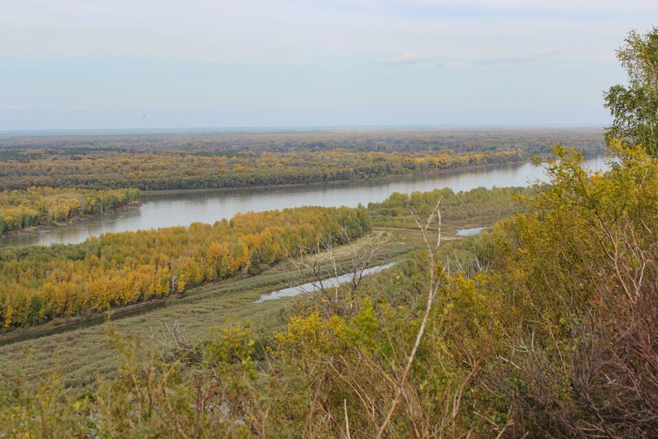    Захватывающие виды с высокого берега Оби, признанного природным памятником. Источник: Евгения Кочеткова/"Толк"