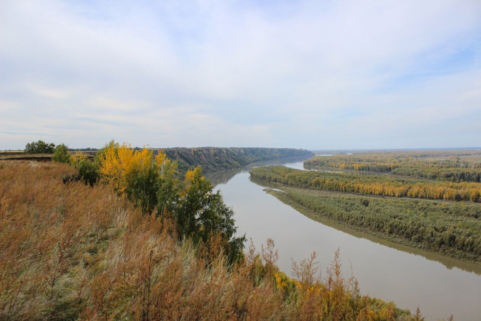    Захватывающие виды с высокого берега Оби, признанного природным памятником. Источник: Евгения Кочеткова/"Толк"