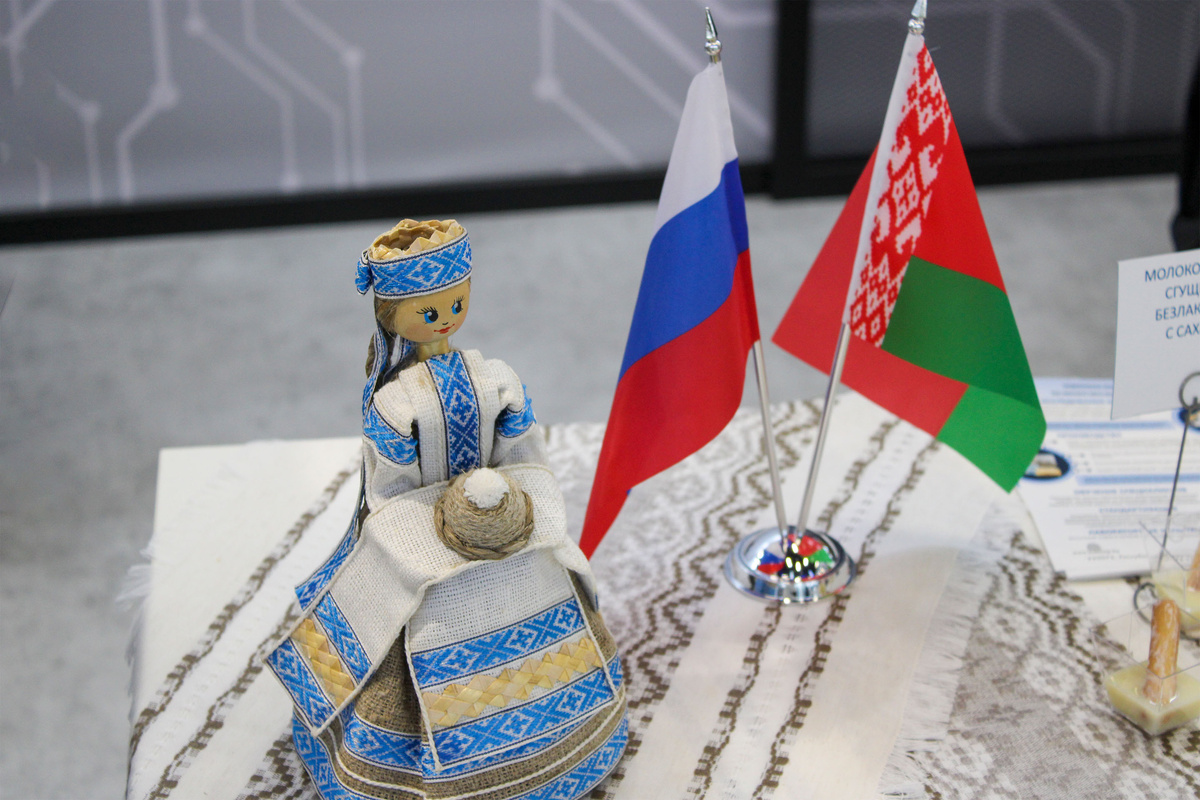 Депутаты поднимут вопрос синхронизации законодательной базы двух государств.  Фото: ФедералПресс / Ксения Кобалия