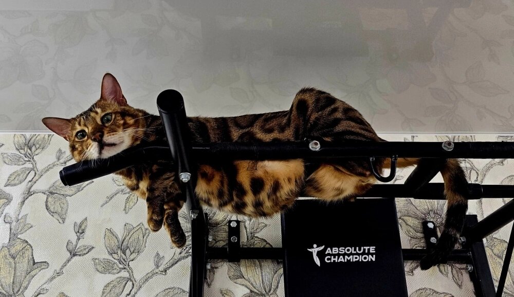    Фото: Из личного архивa