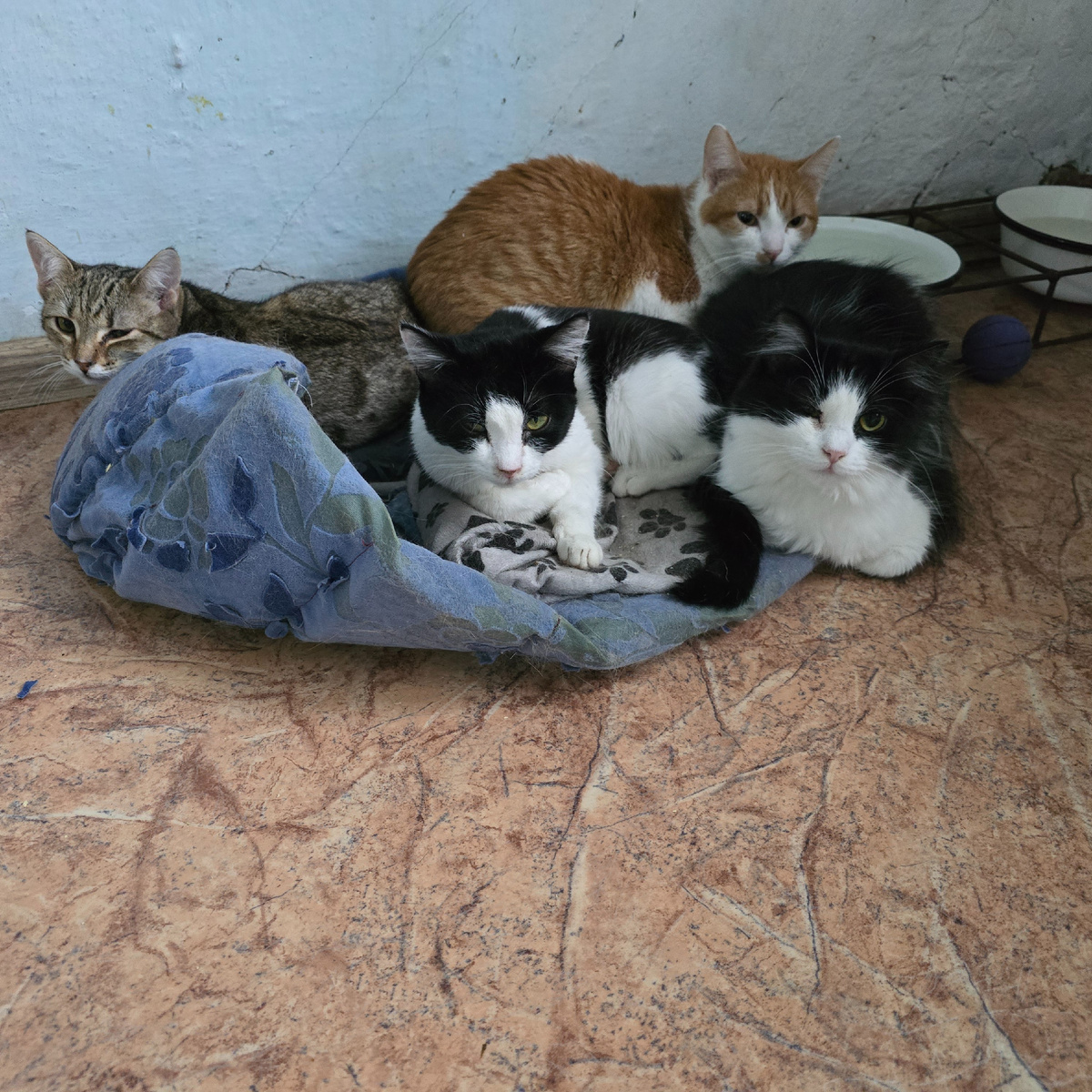 Детское счастье на холодном полу