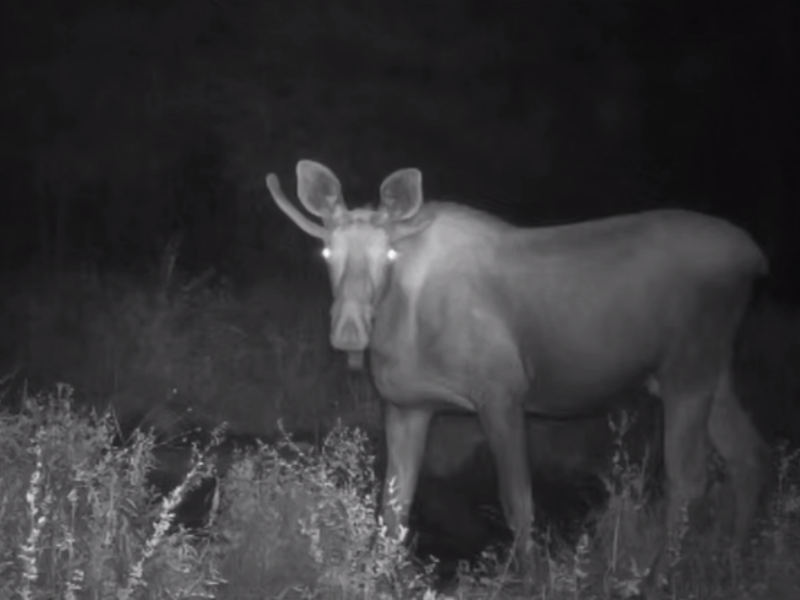 © Фото: vk.com/ooptirk