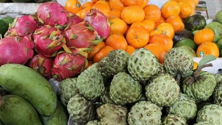 Врачи знают клинические примеры тяжелых последствий ограничительных, в том числе вегетарианских или веганских диет у маленьких детей без медицинского контроля — эксперт. Фото: 1MI