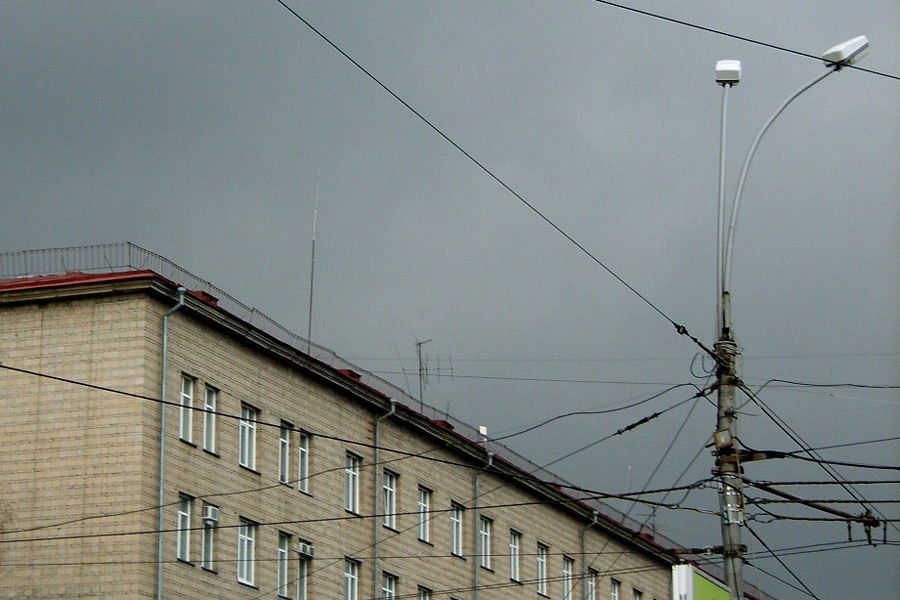    Фото: 54 новости \ Telegram