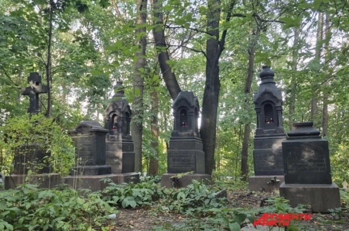    Миколог Дьяков сказал, можно ли собирать грибы вблизи кладбища