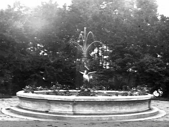 Фото взято из открытых источников