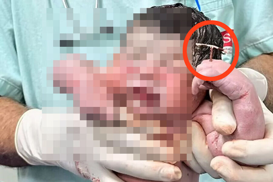    Фото: Facebook* (владелец компания Meta признана в России экстремистской и запрещена)