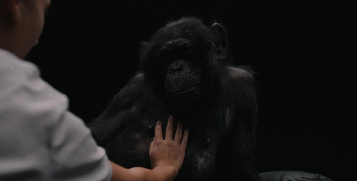 Кадр из фильма