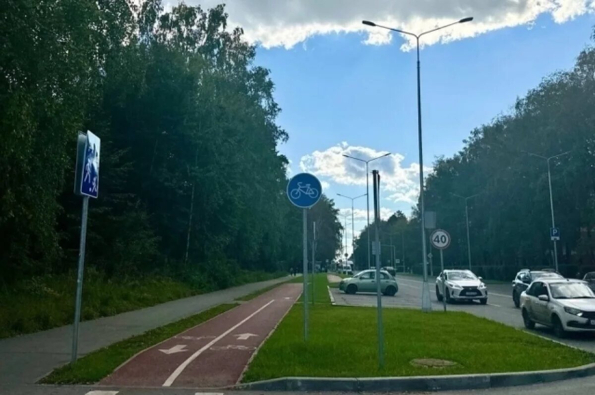    В Новосибирском Академгородке убрали провода с двух магистралей