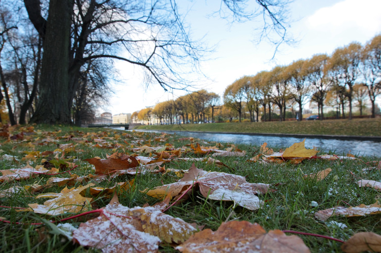    Фото: abn.agency