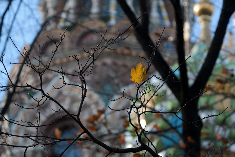    Фото: abn.agency