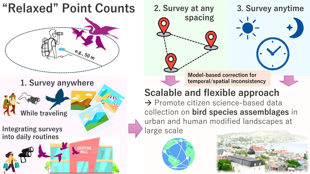 Схематичное изображение подхода Хисано. Masumi Hisano. Facilitating Large-Scale Bird Biodiversity Data Collection in Citizen Science: ‘Relaxed’ Point Counts for Anytime, Anywhere Monitoring // Ecology and Evolution. 25-Sep-2025. DOI : https://doi.org/10.1002/ece3.72176