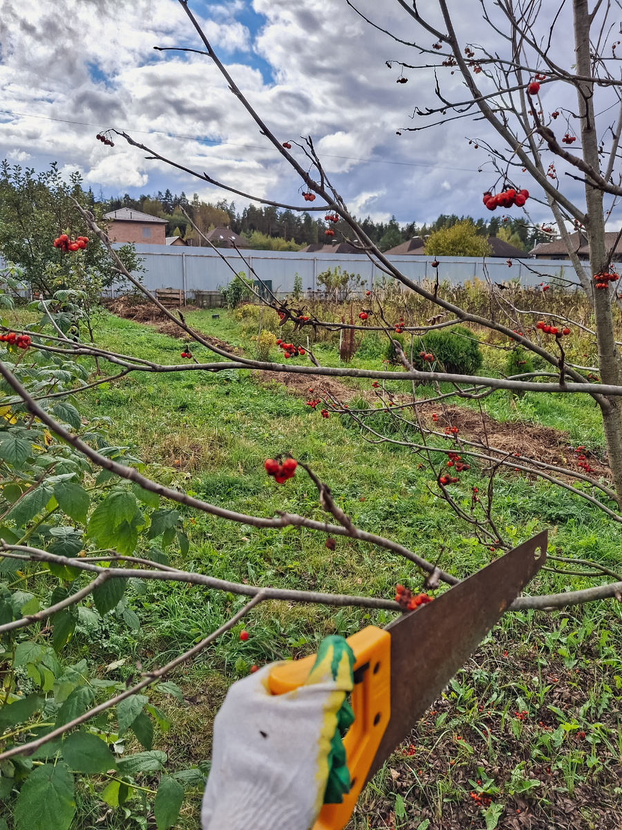 Кстати, пилить, гладить и держать столовые приборы мне удобно и правой, и левой рукой, нет разницы🤷‍♀️ Наверное я могу еще что-то делать левой рукой, ну сейчас не вспомню, писАть конечно не умею, только правой