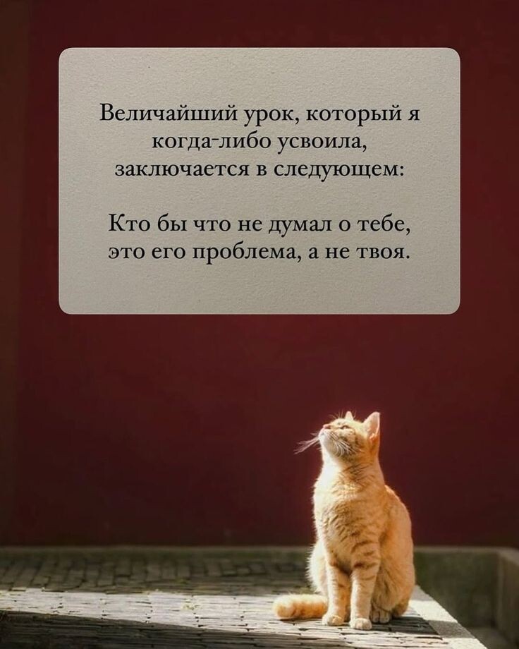 взята в свободном доступе.