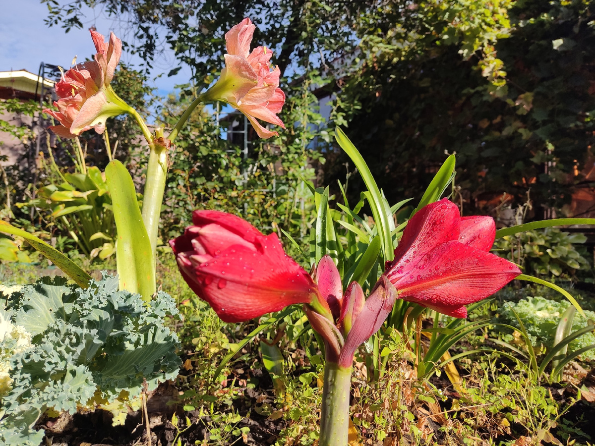 Сентябрьская реальность