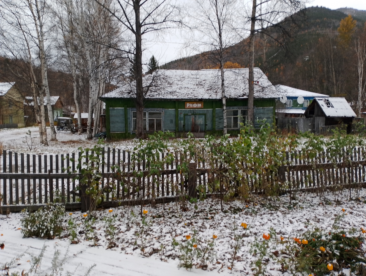 Зима близка❄️Фото 📸 автора.