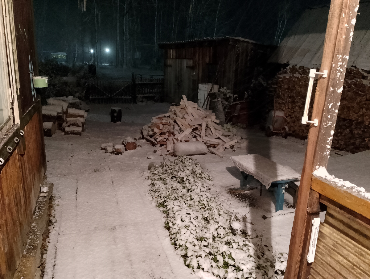 Фото 📷 автора.