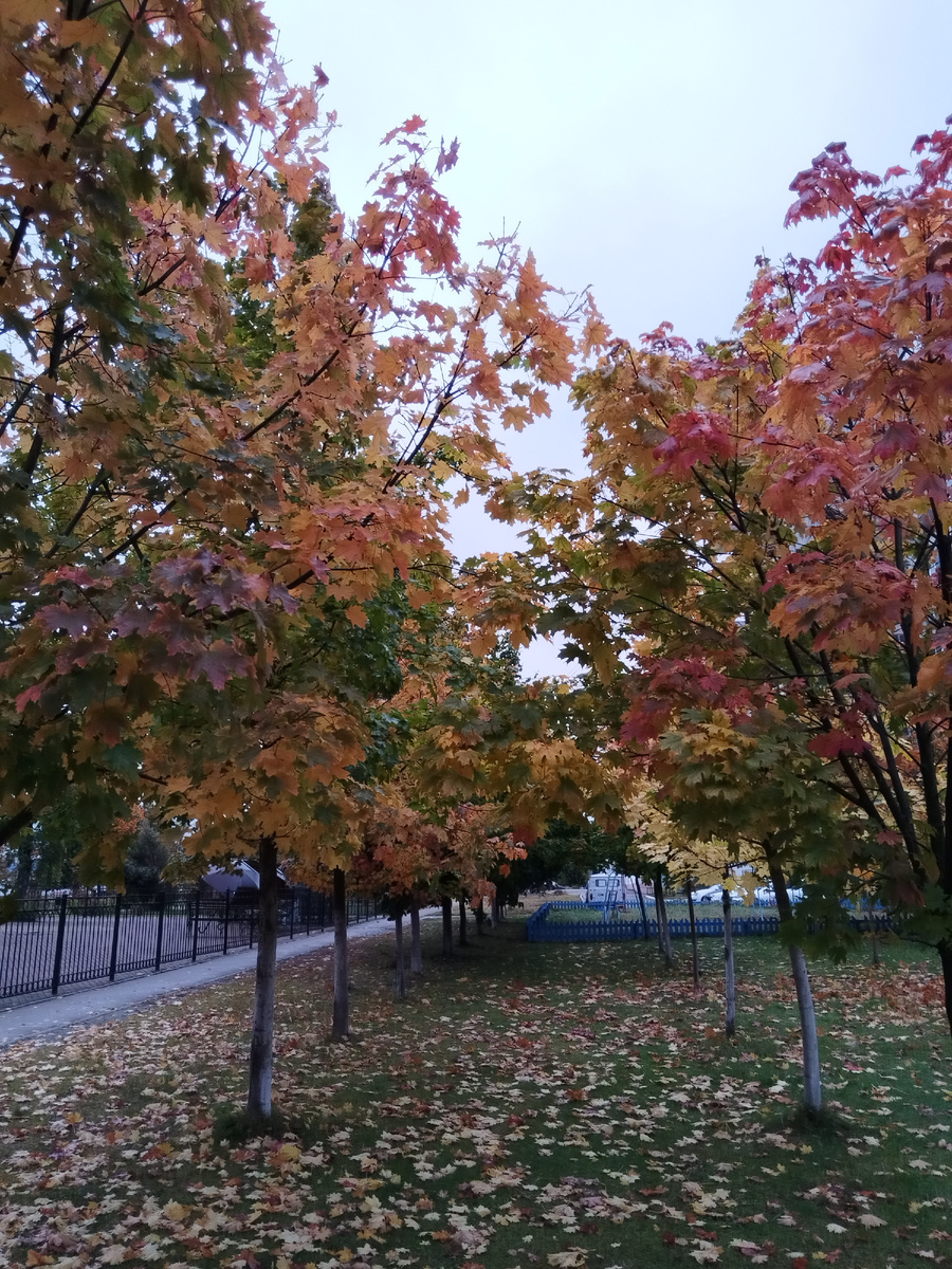 Понедельник