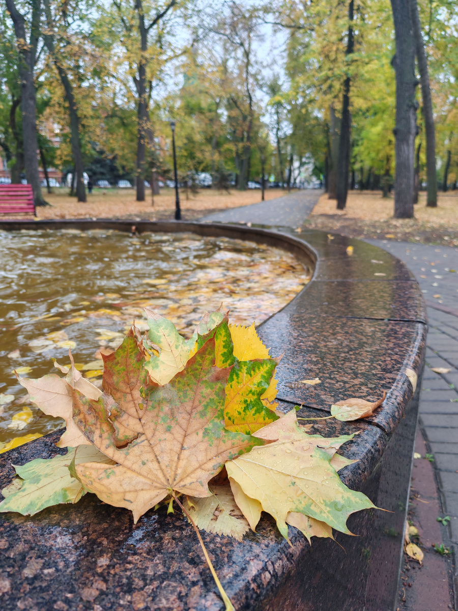 Сквер имени Ивана Яковлева. г. Ульяновск. Фото атора.