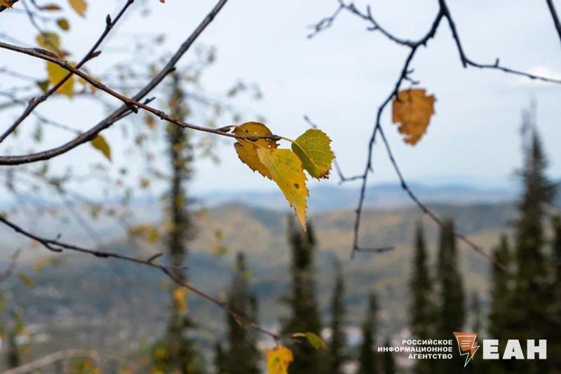    ЕАН. Осень в Свердловской области