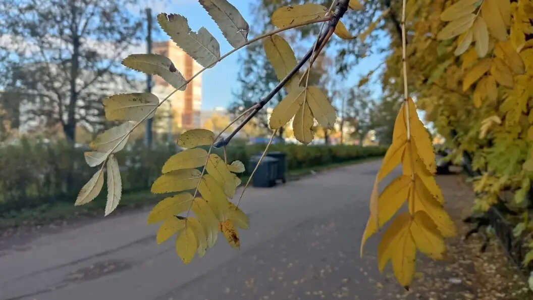    Фото: Царьград Новосибирск
