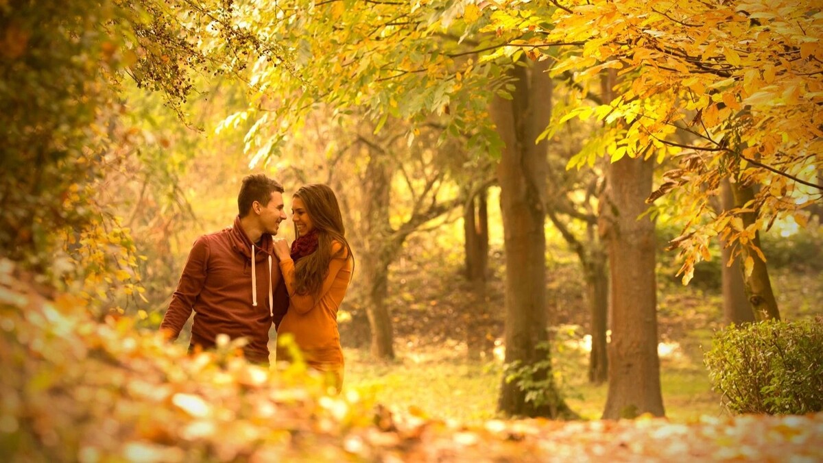    Фото: Gergely Zsolnai / shutterstock.com / Fotodom