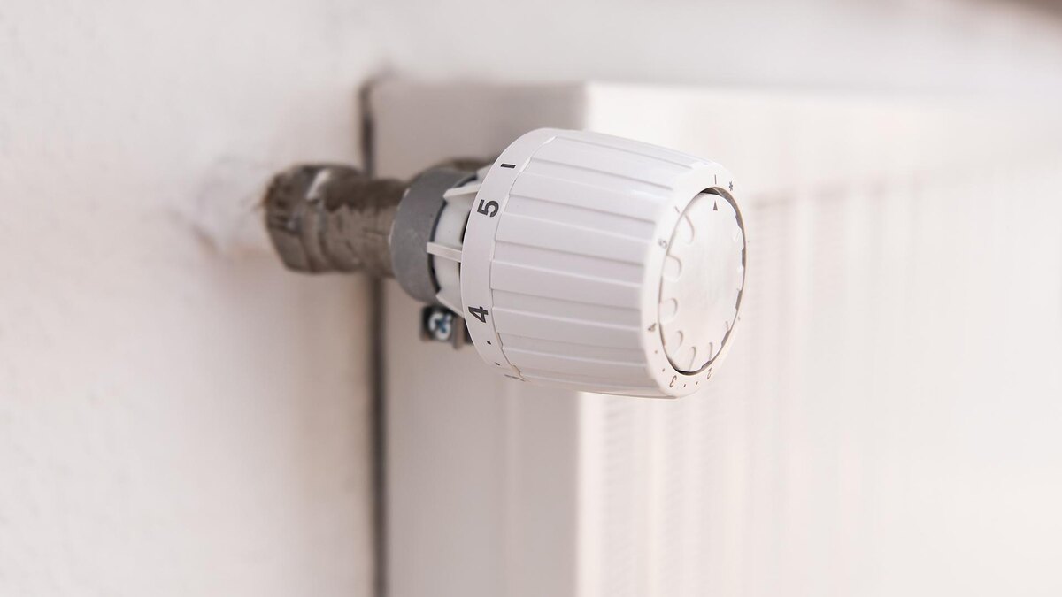    Фото: Silas Stein/globallookpress.com