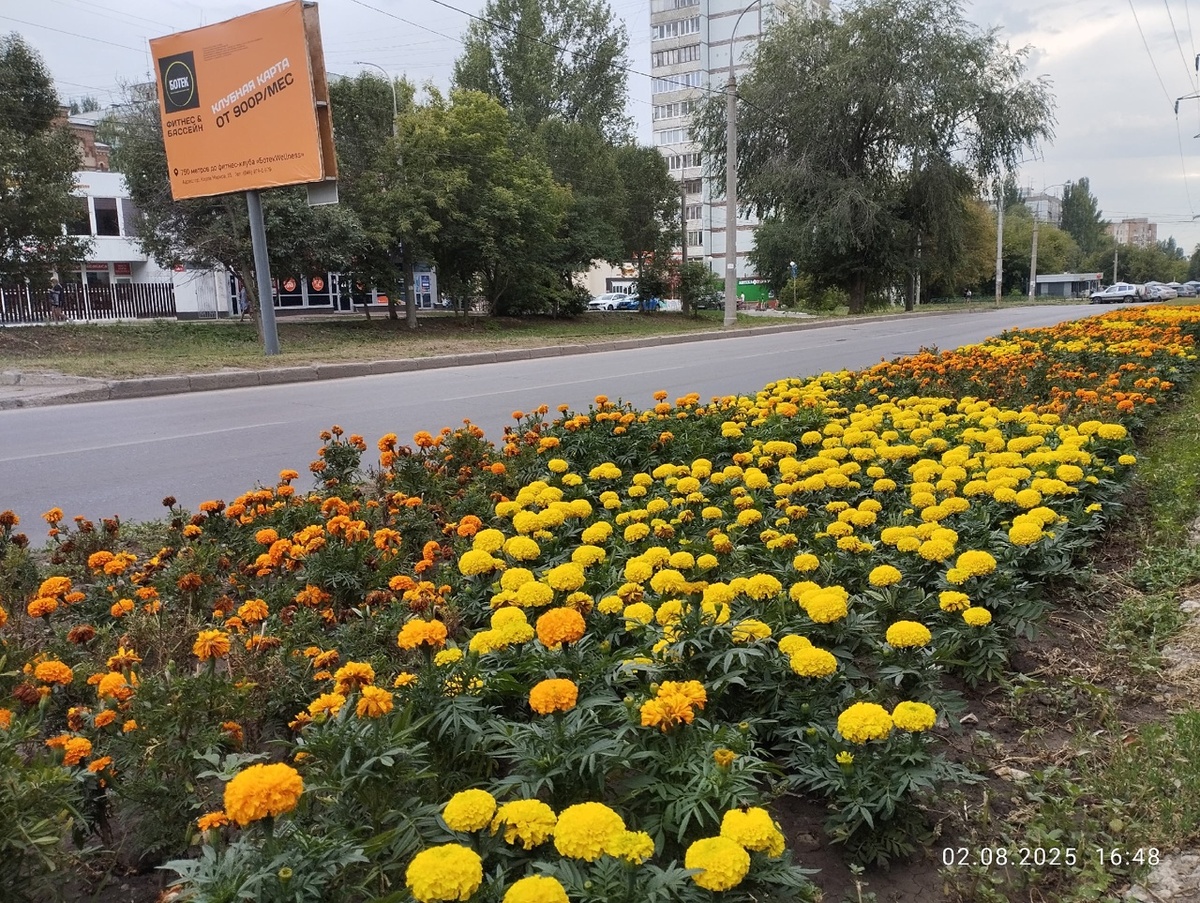    Фото из архива Progorod