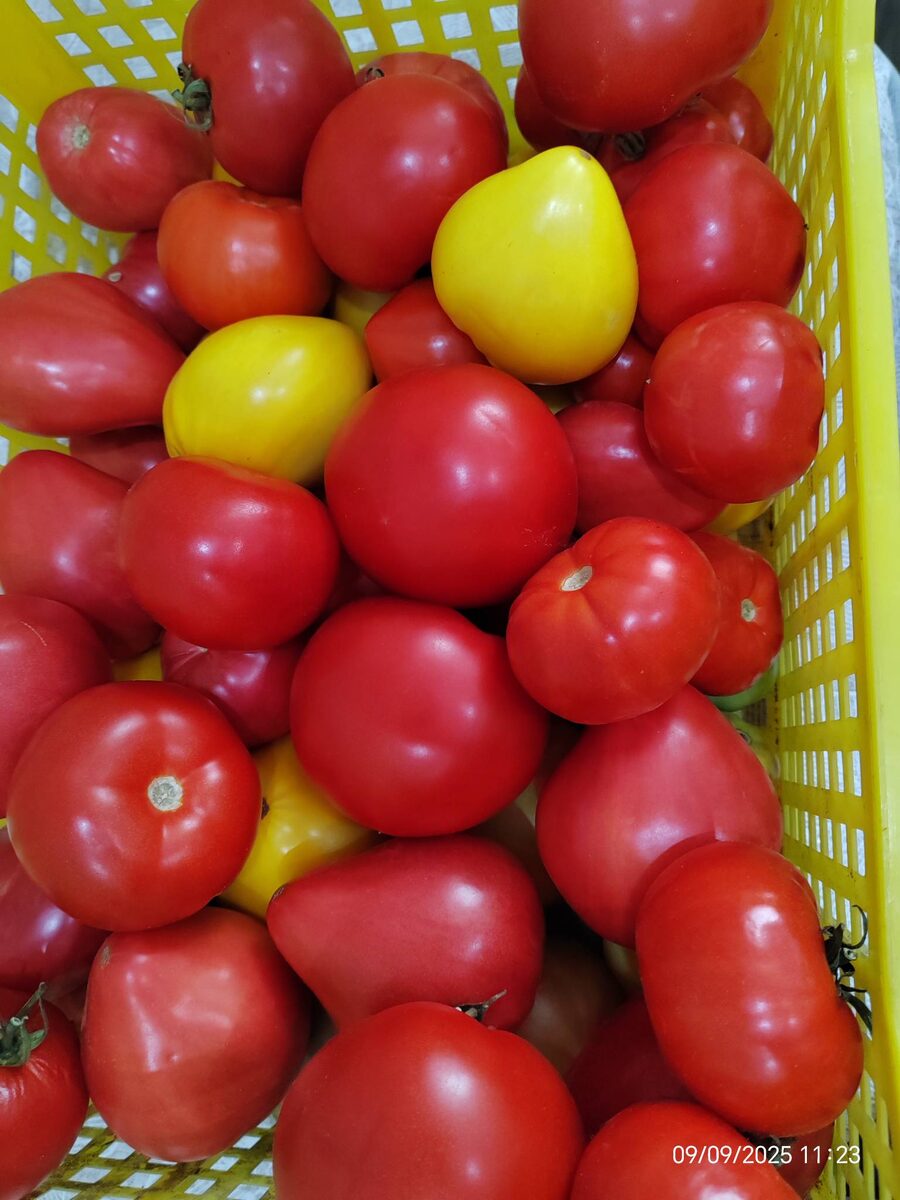 Для соуса нам понадобятся только красные томаты