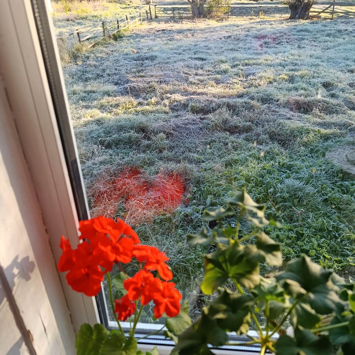 30 сентября, первые настоящие заморозки