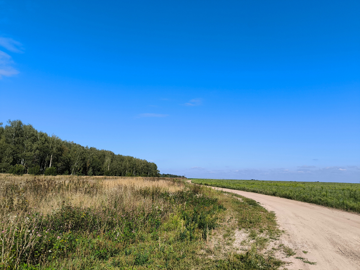 Заканчивается лес и начинаются поля