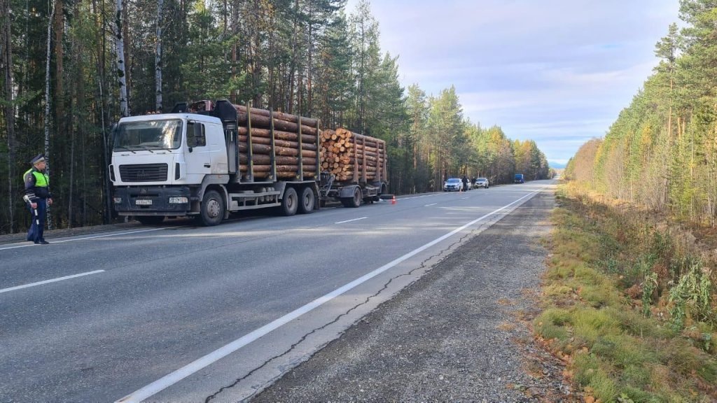    Фото: пресс-служба ГИБДД Свердловской области
