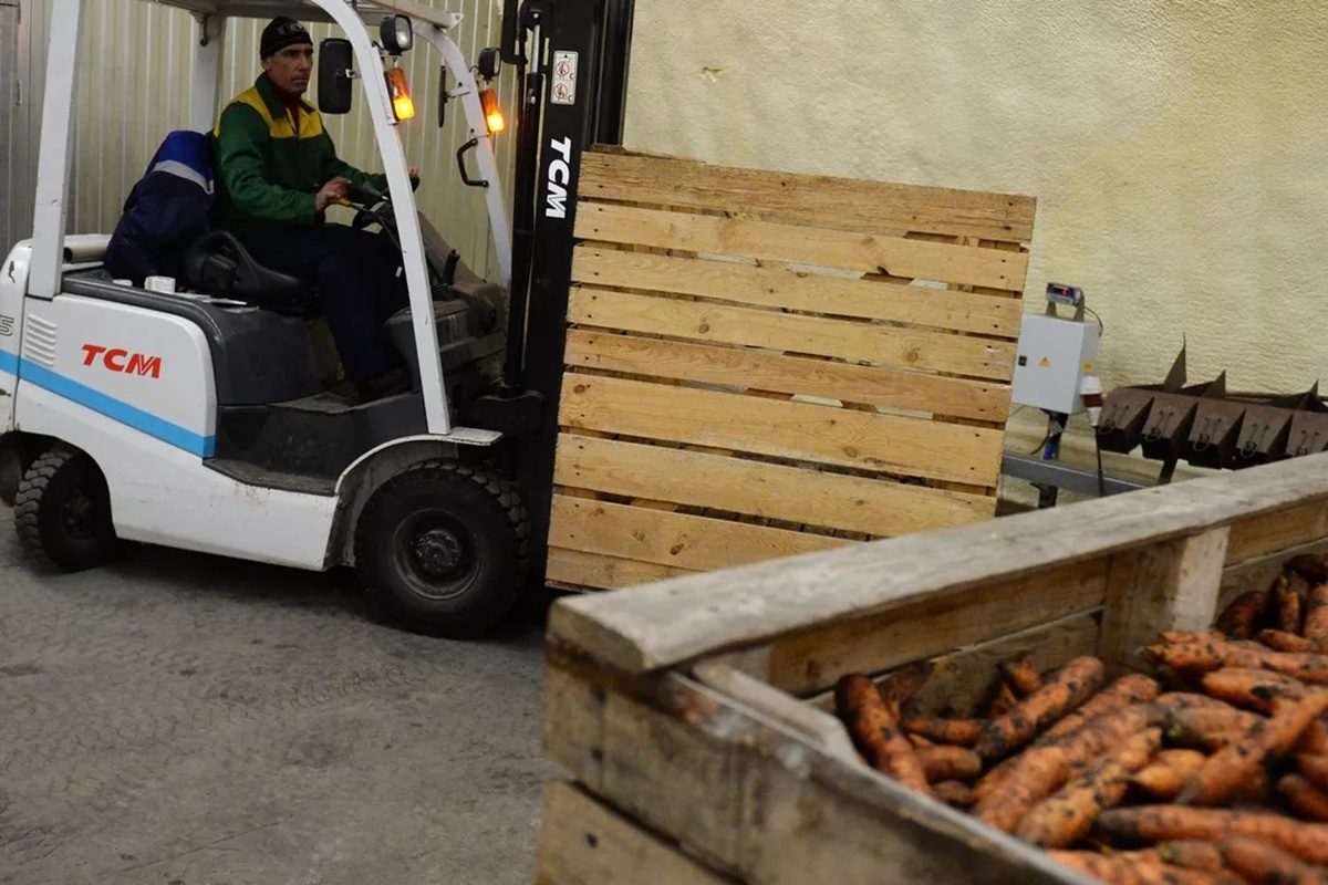    Фото: Павел Лисицын, источник: РИА Новости