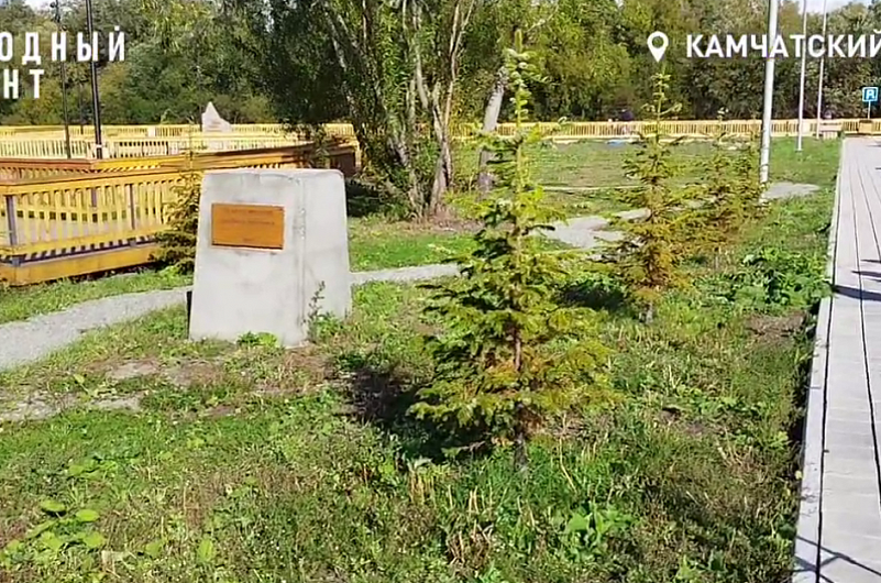 Народный фронт