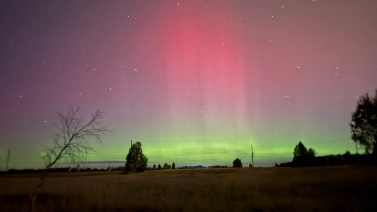 Фото предоставил житель Татарстана