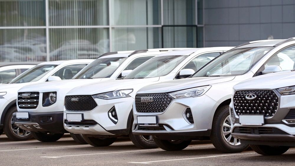    Фото: Tricky_Shark / Shutterstock / ФОТОДОМ