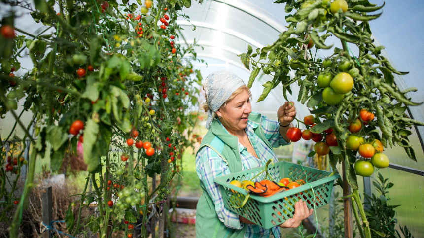    Фото: ИЗВЕСТИЯ/Сергей Лантюхов