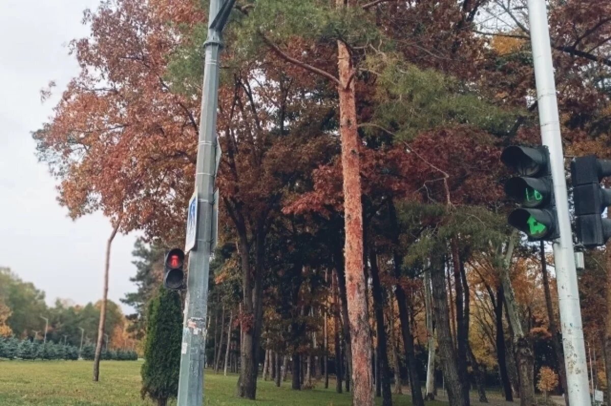    На Кубани температура опустится на 7-8 градусов ниже климатической нормы