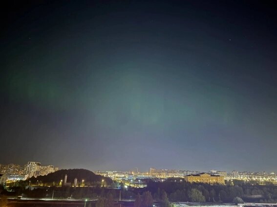    Фото: spb.aif.ru/ Вероника Такмовцева